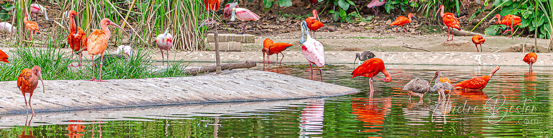 Crimson Wetlands Crimson Wetlands