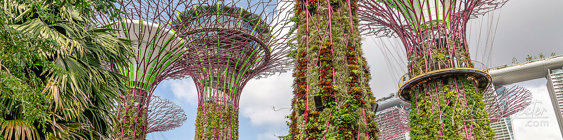 Gardens By The Bay